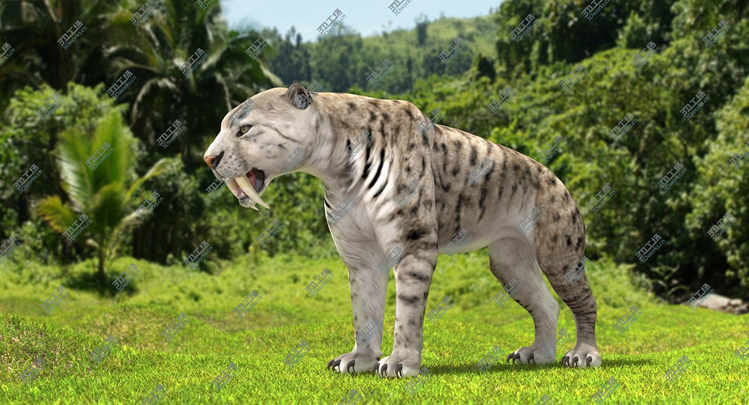 images/goods_img/202104021/3D Arctic Saber Tooth Cat model/5.jpg